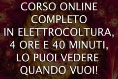 CORSO-ONLINE-jpg