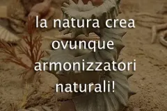 armonizzatori-jpg