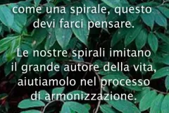 auote-jpg