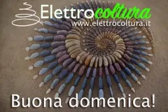 buona-domenica-jpg