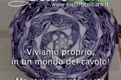 cammino-jpg