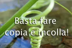 copi-incolla-jpg