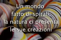 creazioni-jpg