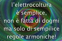 dogmi-1-jpg