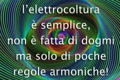 dogmi-2-jpg