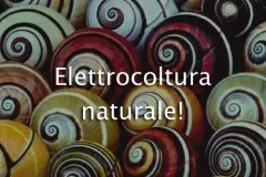 elettrocoltira-naturale-jpg