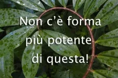 non-ce-forma-1-jpg