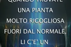 punto-luce-jpg