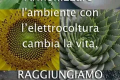 ragiungiamo-1-jpg