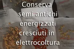 semi-antichi-jpg