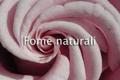 spirale-naturale3-jpg