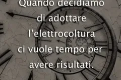 tempo2-jpg